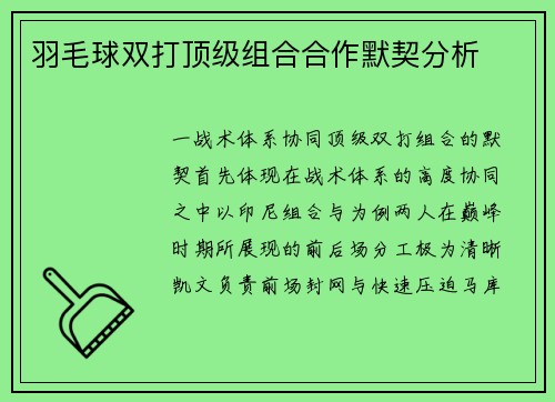 羽毛球双打顶级组合合作默契分析